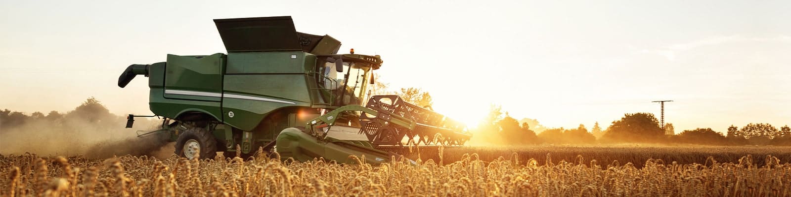 electric cylinder for adjusting the grain sieve on a combine harvester